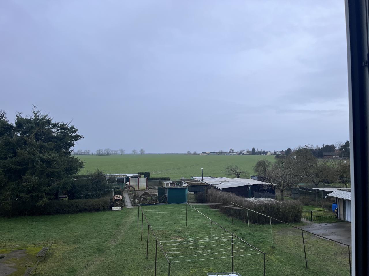 Blick ins Grüne